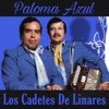 Paloma Azul - Single