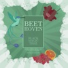 Beethoven - Single