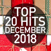 Top 20 Hits December 2018 (Instrumental) artwork