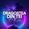 Dragostea Din Tei - Single