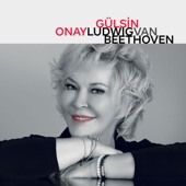 Gulsin Onay - Ludwig van Beethoven artwork