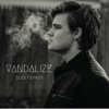 Vandalize - Single