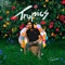 Tropics - Tessellated lyrics
