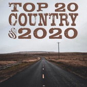 Top 20 Country of 2020 artwork