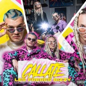 Callate artwork