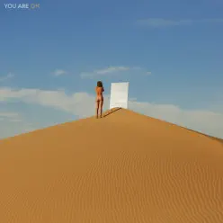 You Are OK - The Maine You Are OK - The Maine