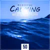 Stream & download Peaceful, Calming Waves for Deep Sleep: 50 Tracks - Therapy & Healing Music for Reduce Stress, Relaxing Sounds & Shakuhachi Japanese Flute for Meditation