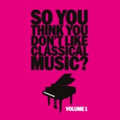 So You Think You Don't Like Classical Music? Vol. 1 artwork