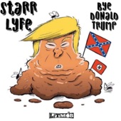 Bye Donald Trump artwork