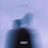 Sorry - Single