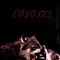 Coyotes (feat. NBS Devv) - Double Dubbs lyrics