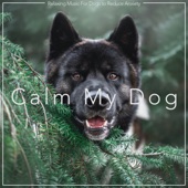 Calm My Dog: Relaxing Music For Dogs to Reduce Anxiety artwork