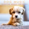 Relax My Dog (Loopable - No Fade) - Pet Jones lyrics