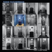 Todd Sucherman - The Damage