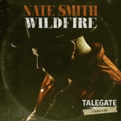 Wildfire (Talegate Remix) artwork