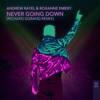 Never Going Down (Richard Durand Remix) - Single