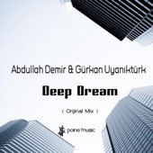 Deep Dream (feat. Gurkan Uyanikturk) [Orijinal Mix] [Deep Dream (Orijinal Mix] artwork