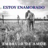 Estoy Enamorado - Single