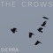 The Crows - Sierra lyrics