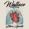 Stream & download Libro aperto (feat. Roby) - Single