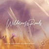 Salt Of The Sound - Wilderness Roads
