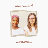 What We Need (feat. Alena Pitts) artwork