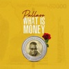 What Is Money - Single