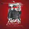 Tiger song lyrics