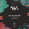 Can You See Me - Single