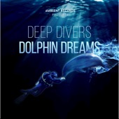 Dolphin Dreams - EP artwork
