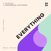 Everything (Spoiljack Remix) artwork