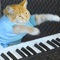 Keyboard Cat Swag artwork