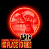 No Place to Hide artwork