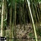 Make Me Mad - Ivanshee lyrics
