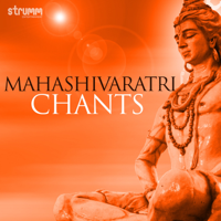 Various Artists - Mahashivaratri Chants artwork