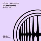 Momentum (Extended Mix) artwork