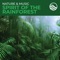 Nature & Music: Spirit Of The Rainforest