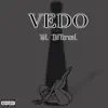 Stream & download Hit Different (V - Mix) - Single