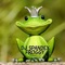Froggy - DJ Spandex lyrics