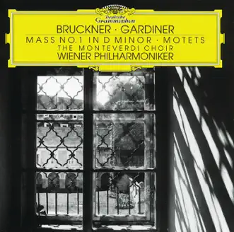 Ave Maria (Motet) by Monteverdi Choir & John Eliot Gardiner song reviws