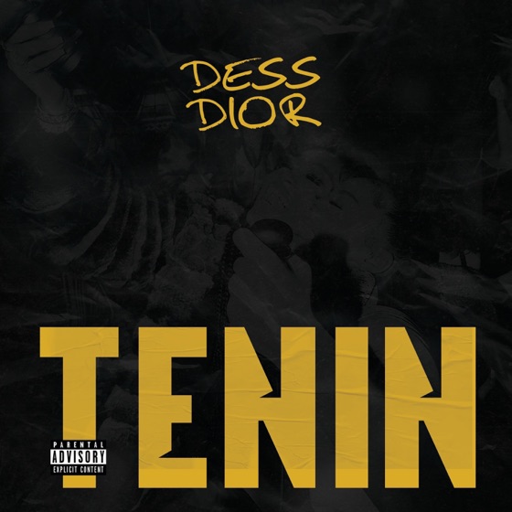 Cover artwork for Tenin