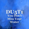 DU5T1 - You Don’t Miss Your Water