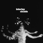 Interlay - Rot