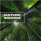 Nature Sounds - EP artwork