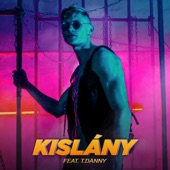 Kislány (feat. T. Danny) artwork