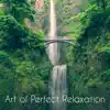 Art of Perfect Relaxation: Oasis of Harmony, Awareness of Nature, Zen Rest, Calming Project album lyrics, reviews, download