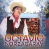 Octavio Norzagaray