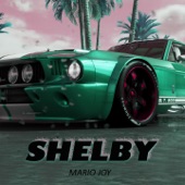 Shelby artwork