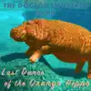 Last Dance of the Orange Hippo album lyrics, reviews, download