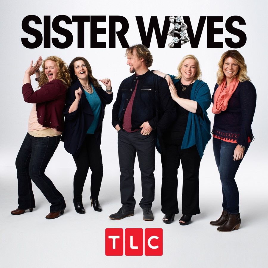 sister wives netflix